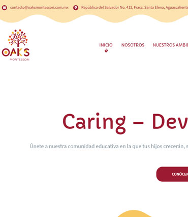 Ideas Inteligentes Diseño y Desarrollo Web, Marketing Digita, Posicionamiento SEO y SEM en Google, Tiendas Virtuales y Diseño Gráfico en Pachuca Hidalgo, México